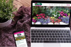 Pollys Planting and Plucking